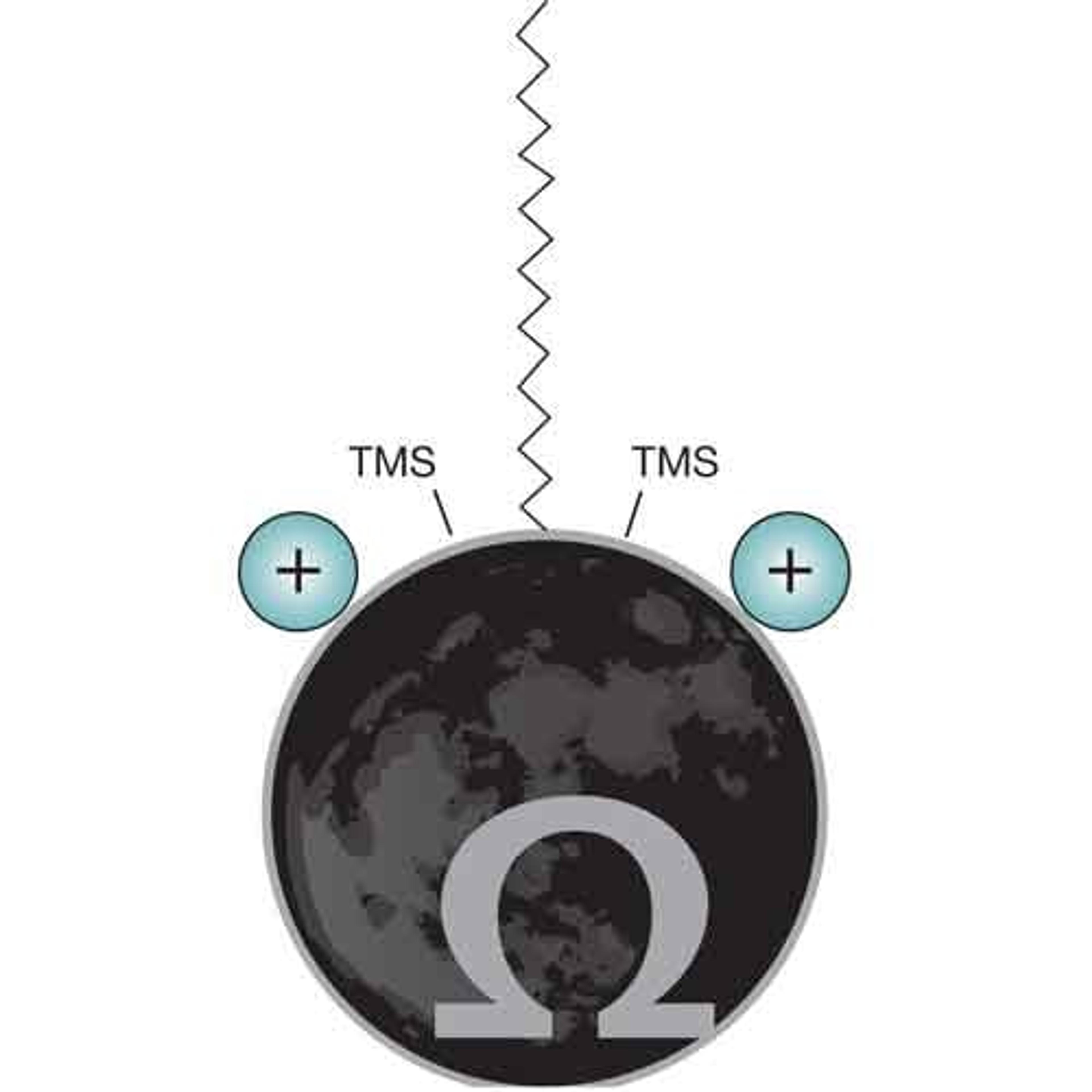 Luna Omega PS C18 - Phenomenex Inc - Separations