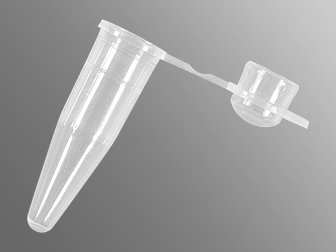 Axygen® 0.2 mL Thin Wall PCR Tubes with Domed Cap, Assorted Colors, Nonsterile - Corning Life Sciences - Life Sciences