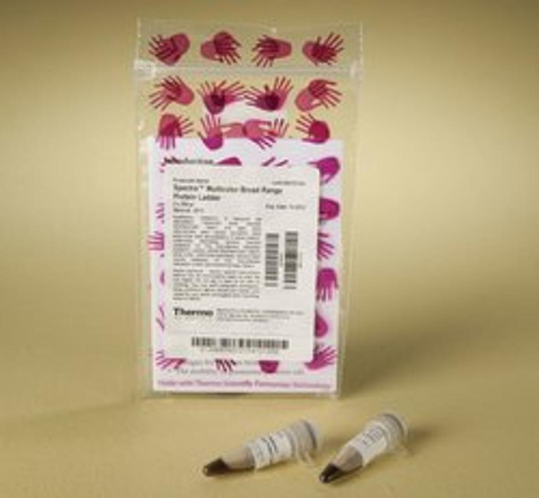 Thermo Scientific™ Spectra™ Multicolor Broad Range Protein Ladder - Thermo Fisher Scientific - Life Sciences