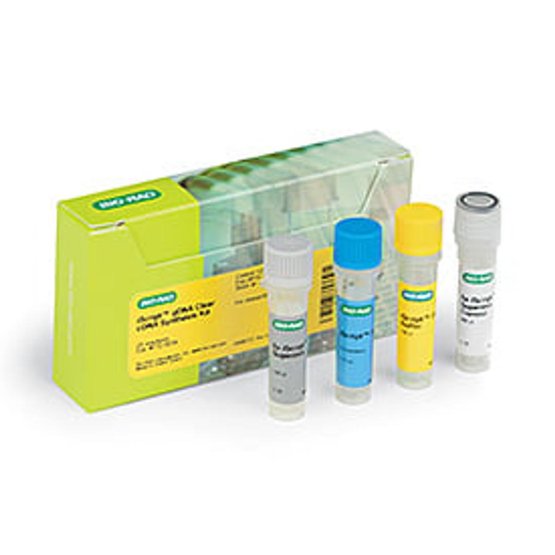 iScript™ gDNA Clear cDNA Synthesis Kit, 25 x 20 µl reactions - Bio-Rad - Life Sciences