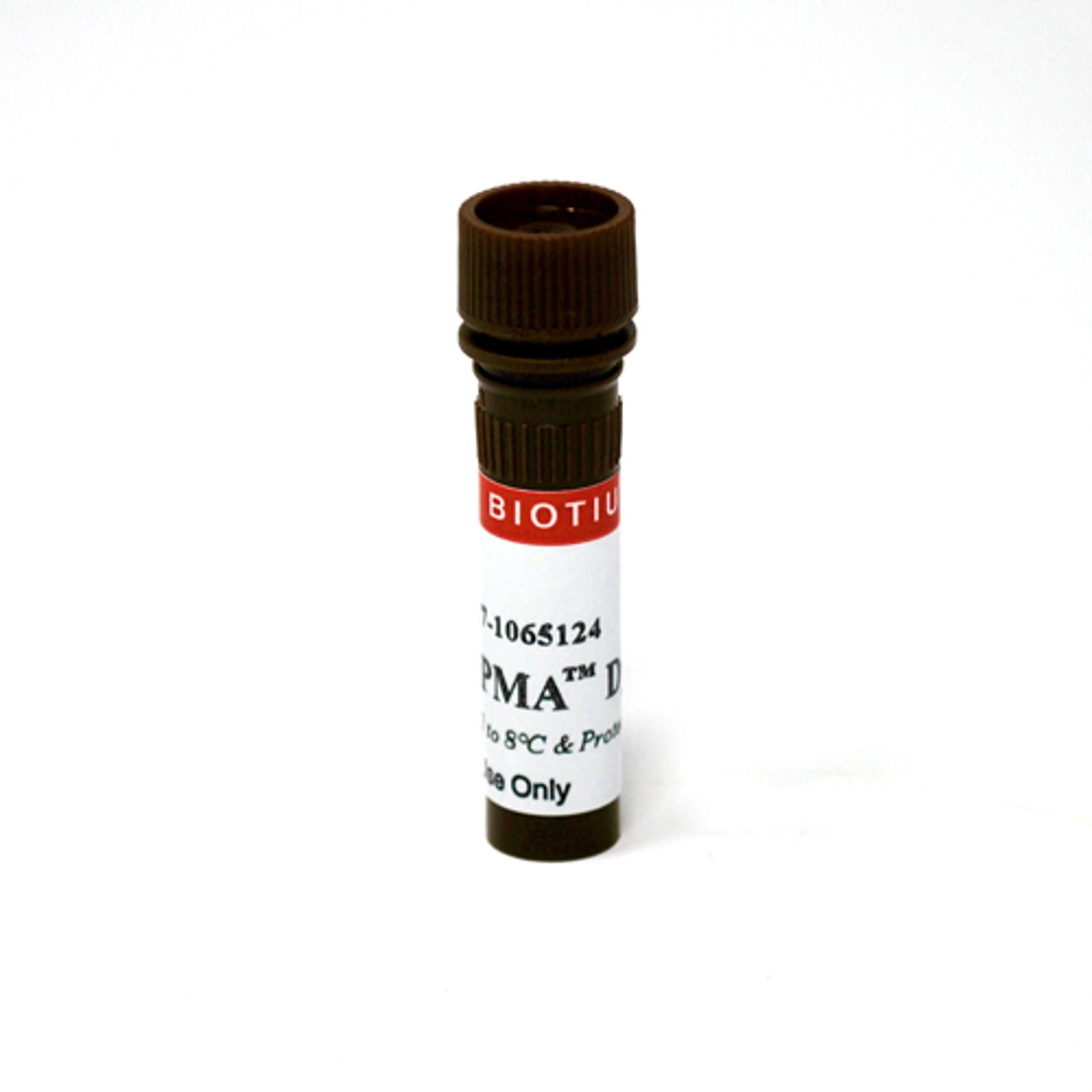 PMA (Propidium Monoazide) - Biotium - Life Sciences