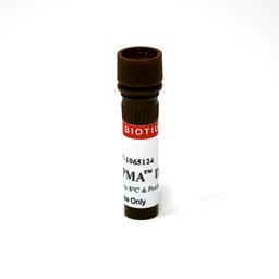 PMA (Propidium Monoazide) - Biotium - Life Sciences
