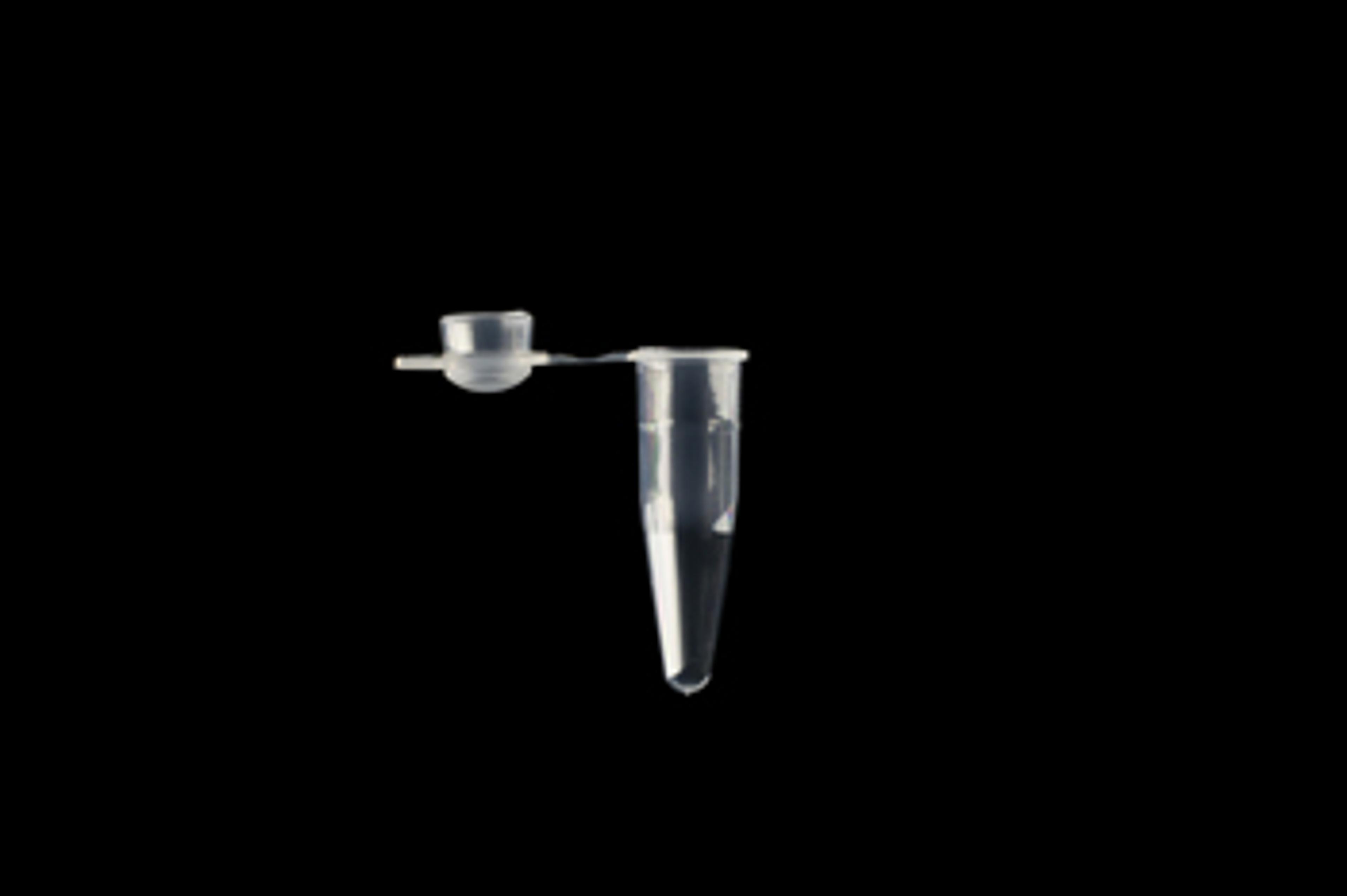 Individual PCR Tubes - SSI - Scientific Specialties, Inc - Life Sciences