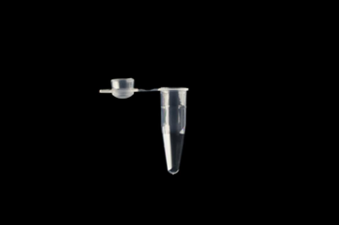 Individual PCR Tubes - SSI - Scientific Specialties, Inc - Life Sciences
