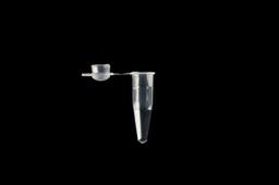 Individual PCR Tubes - SSI - Scientific Specialties, Inc - Life Sciences