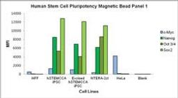 MILLIPLEX MAP Human Stem Cell Pluripotency Magnetic Bead Panel 1 - Stem Cell Multiplex Assay - Merck - Life Sciences
