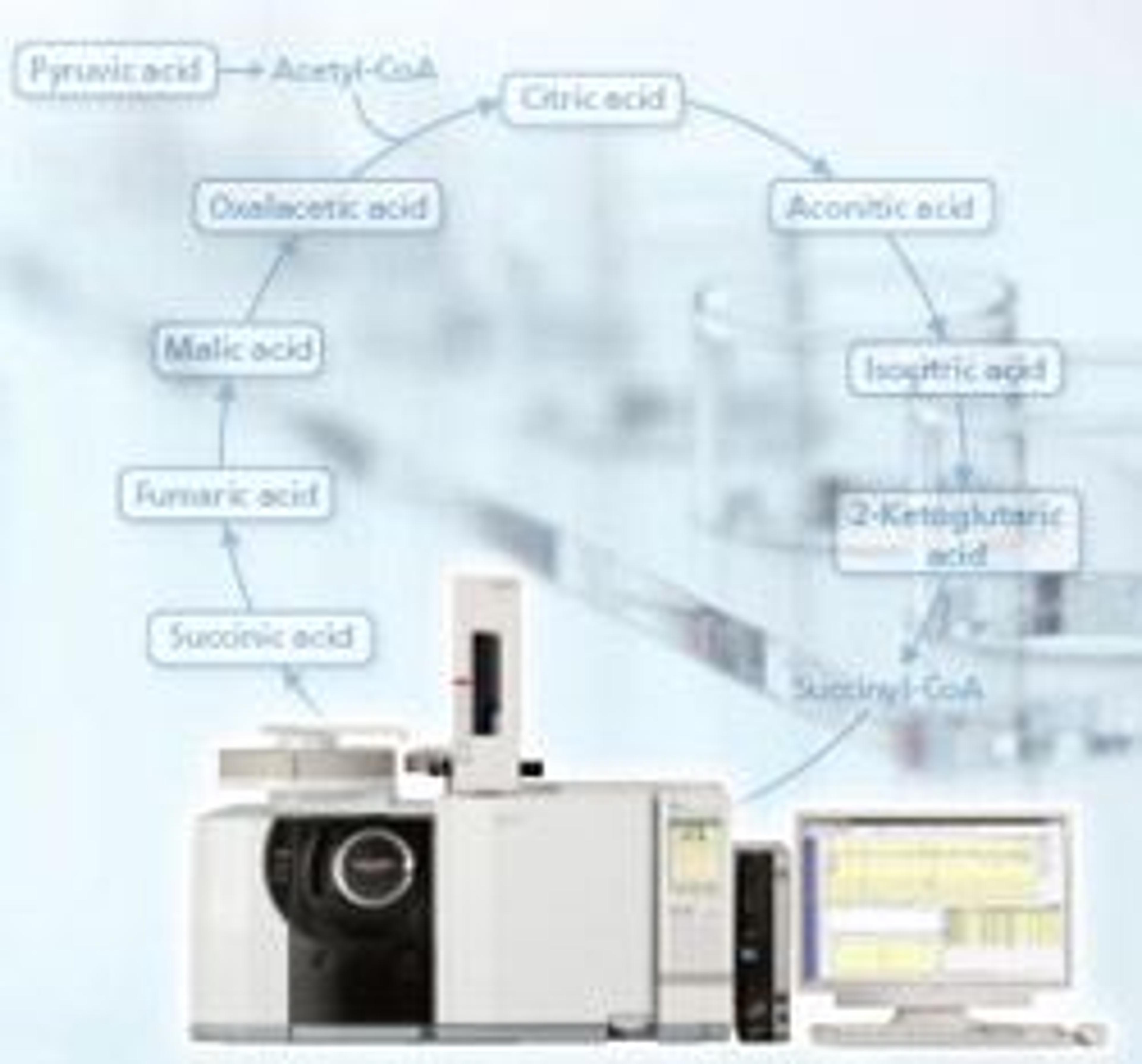 GC/MS Metabolite Database Ver. 2 - null - Separations