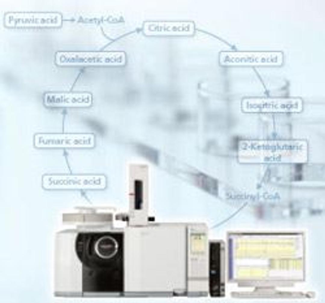 GC/MS Metabolite Database Ver. 2 - null - Separations