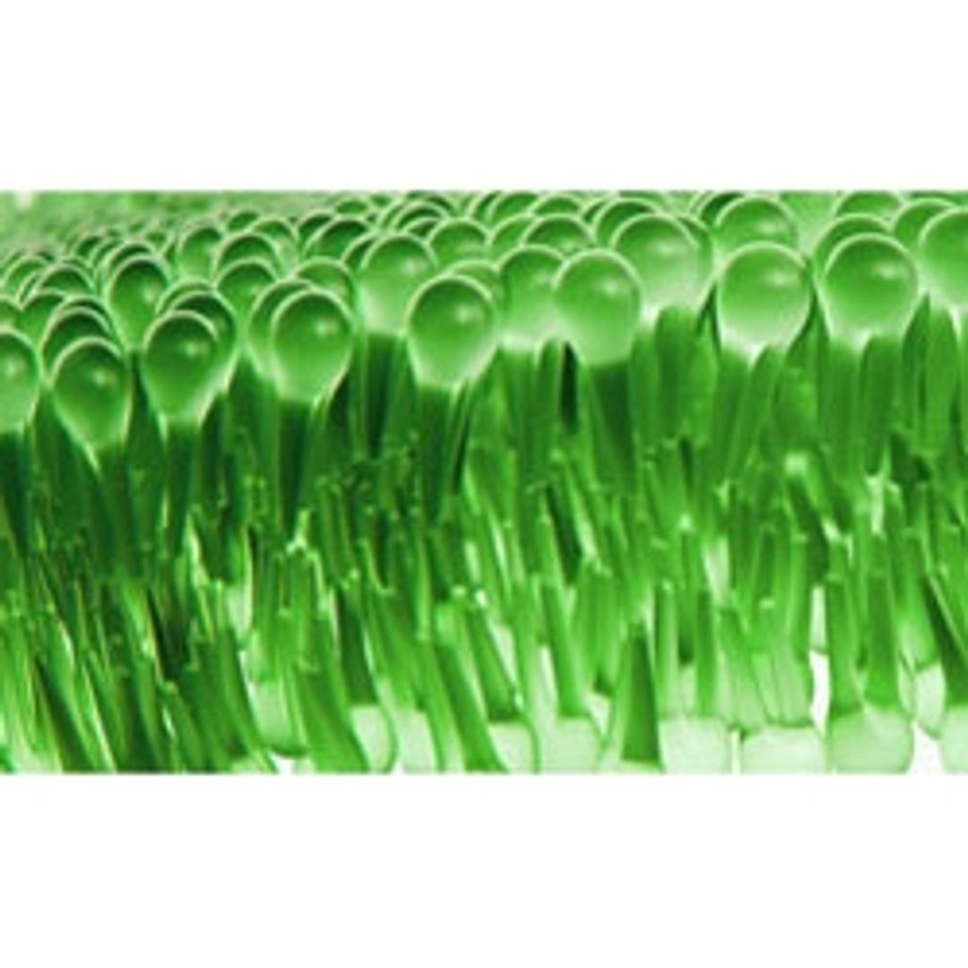 Avanti® Polar Lipids SPLASH® LIPIDOMIX® - Merck KGaA, Darmstadt, Germany - Spectroscopy