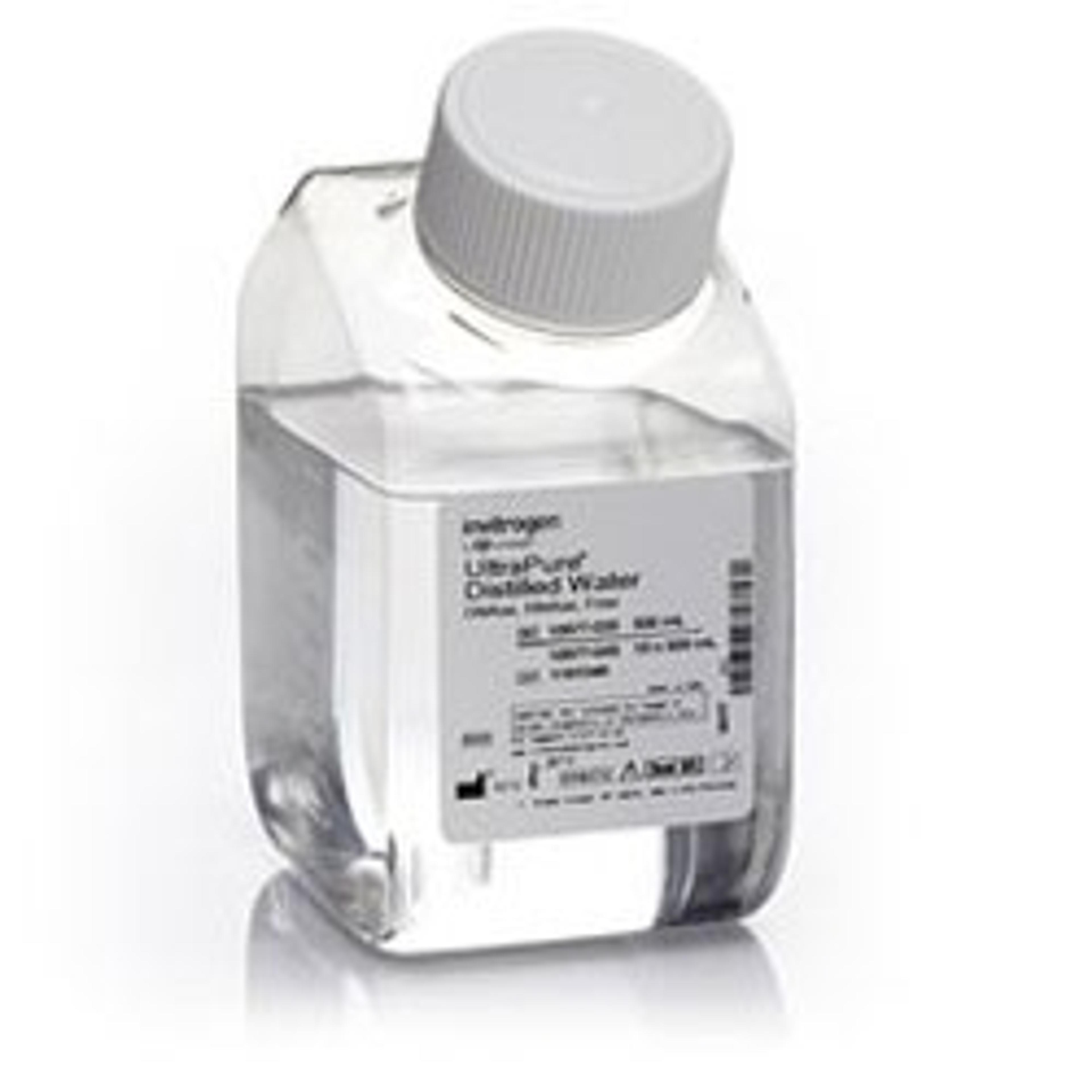 Invitrogen™ UltraPure™ DNase/RNase-Free Distilled Water - Thermo Fisher Scientific - Life Sciences