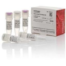 Invitrogen™ Platinum™ SuperFi™ PCR Master Mix - Thermo Fisher Scientific - Life Sciences