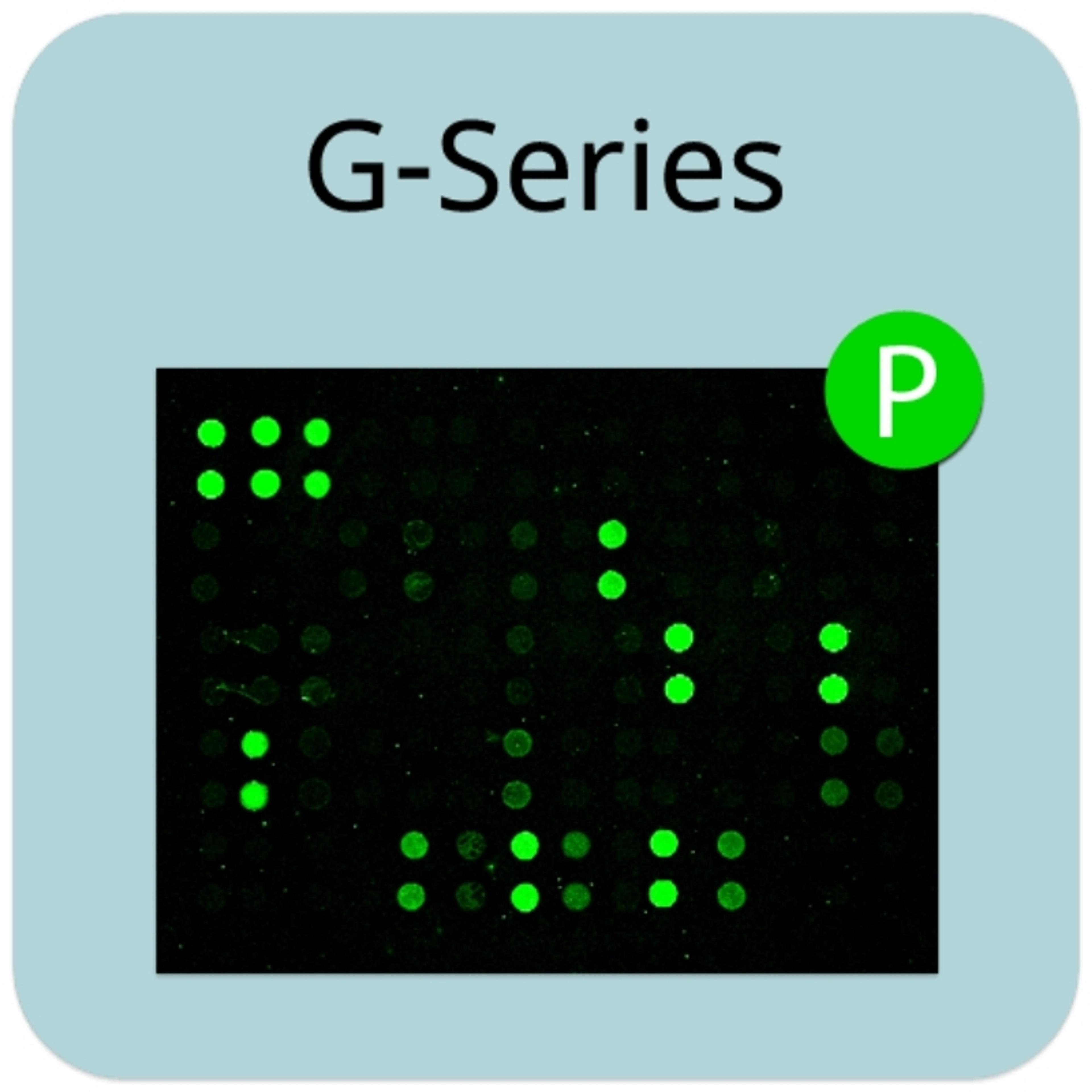 Human Protein Serine/Threonine Phosphorylation Array G1 - RayBiotech Inc. - Life Sciences