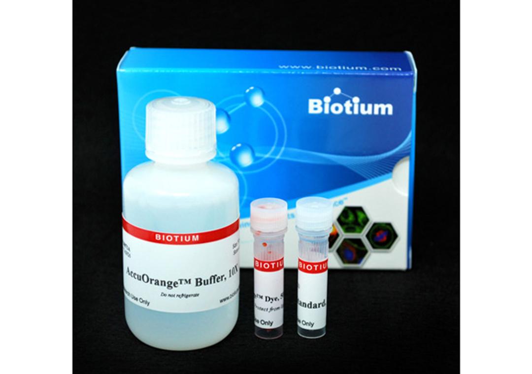 AccuOrange™ Protein Quantitation Kit - Biotium - Life Sciences