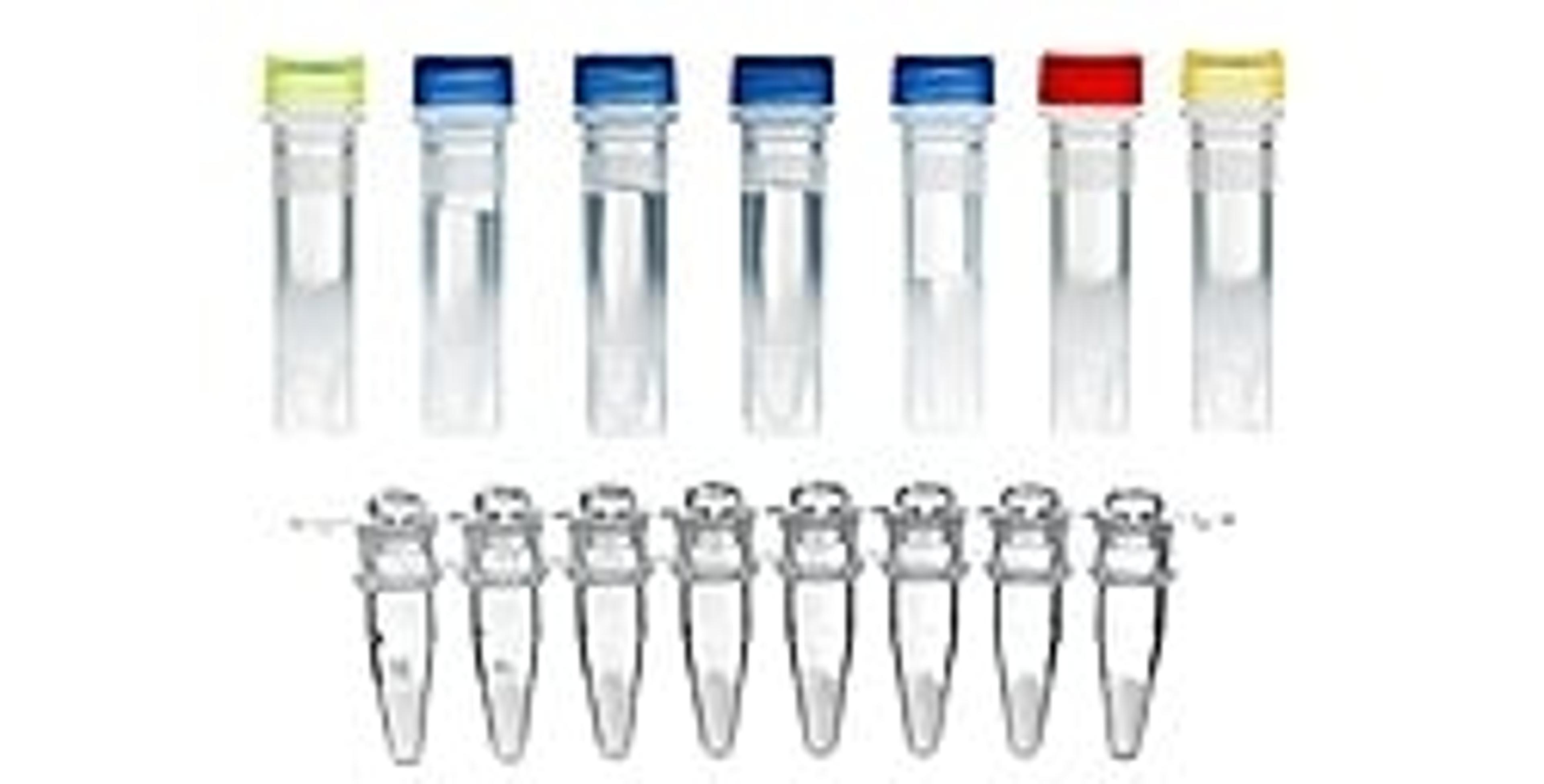 TwistAmp® exo - TwistDx - Life Sciences