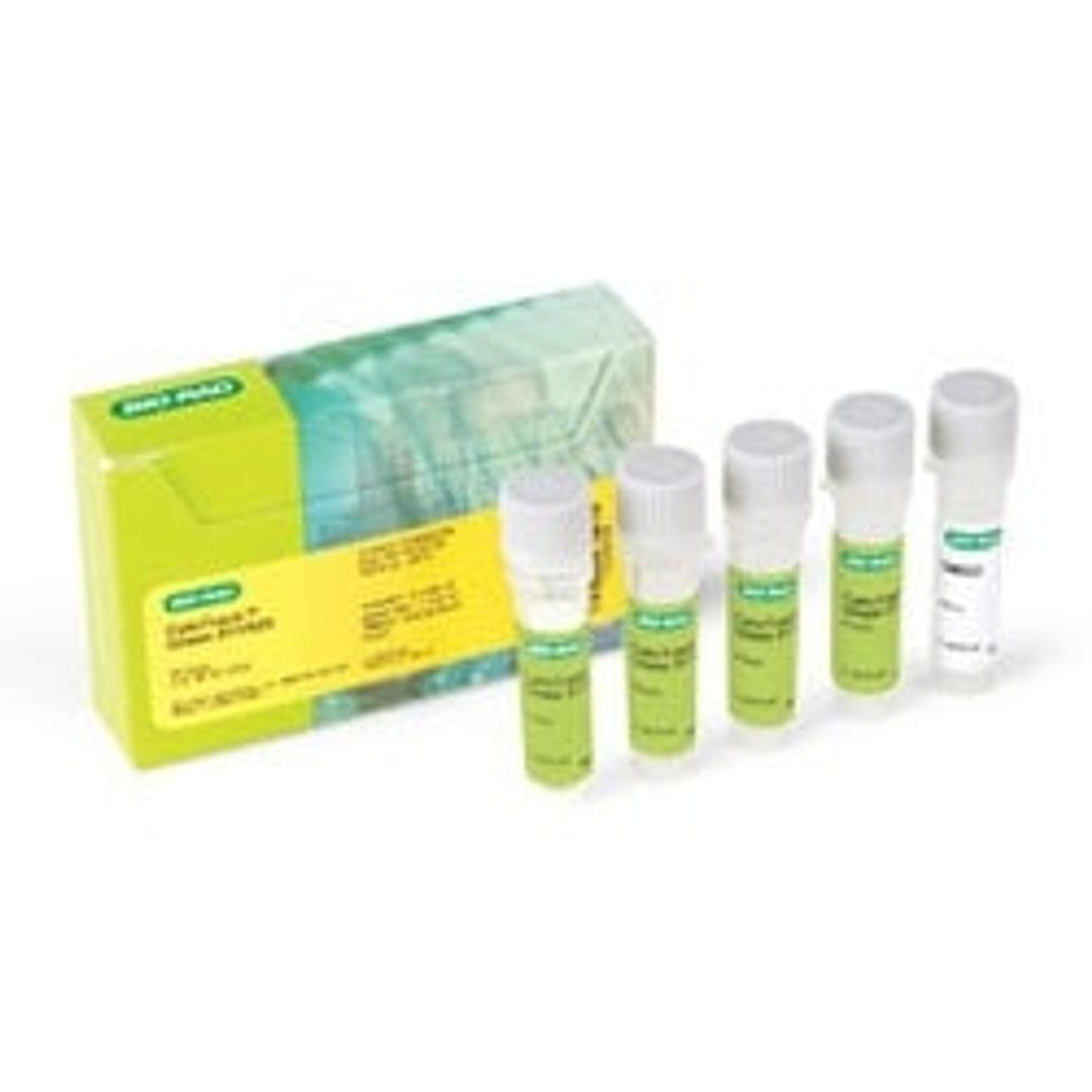 CytoTrack™ Green 511/525 - Bio-Rad - Life Sciences
