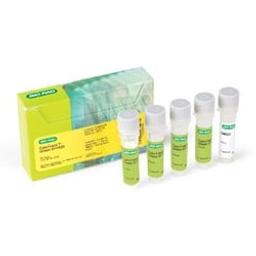 CytoTrack™ Green 511/525 - Bio-Rad - Life Sciences