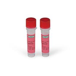 SsoFast™ EvaGreen® Supermix, 200 x 20 µl rxns, 2 ml (2 x 1 ml) - Bio-Rad - Life Sciences