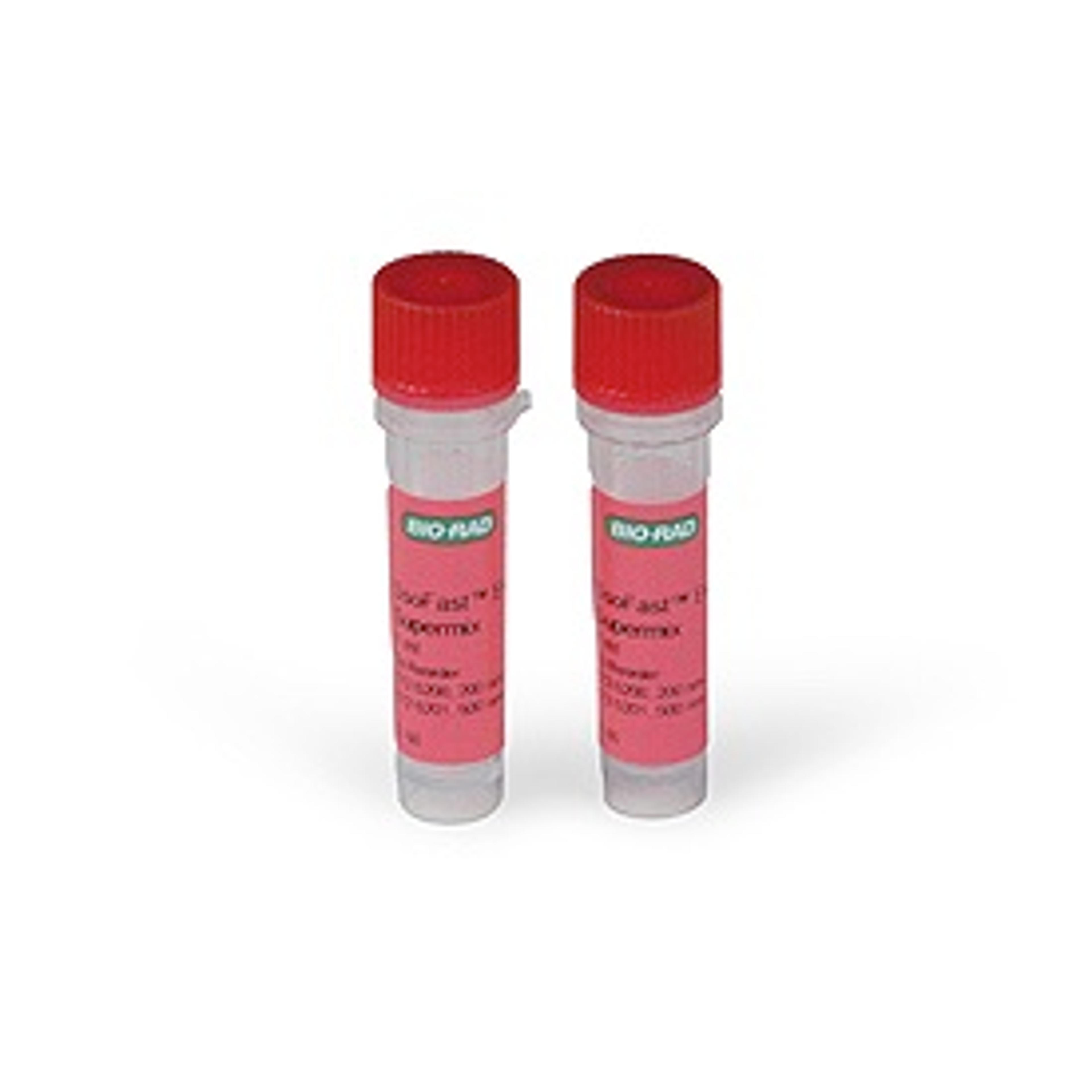 SsoFast™ EvaGreen® Supermix, 200 x 20 µl rxns, 2 ml (2 x 1 ml) - Bio-Rad - Life Sciences
