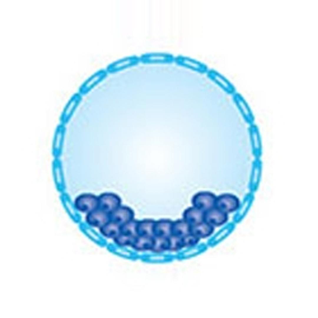 Embryo Culture Media - Merck