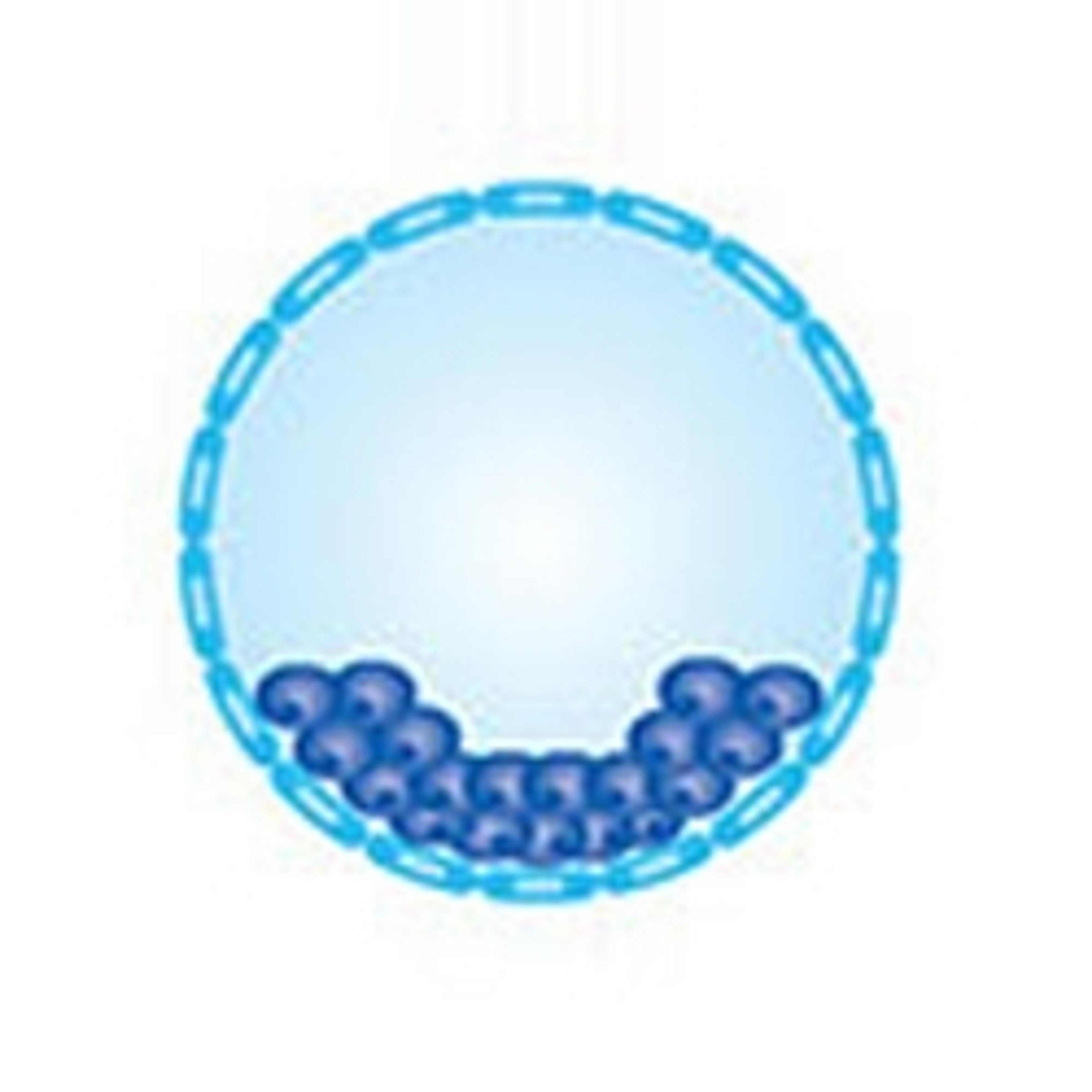 Embryo Culture Media - Merck