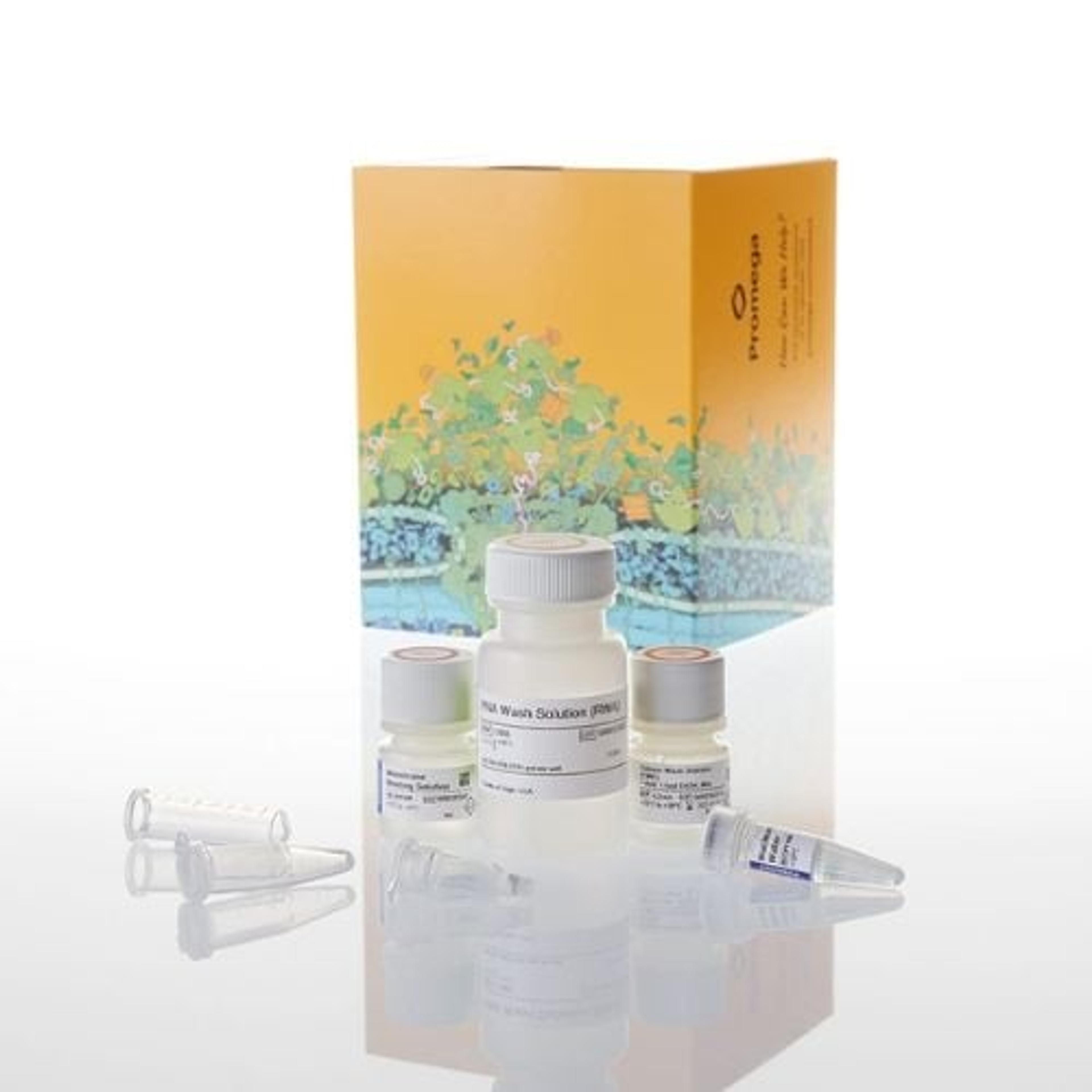 ReliaPrep™ RNA Clean-Up and Concentration System (10, 50, and 250 prep) - Promega Corp. - Life Sciences