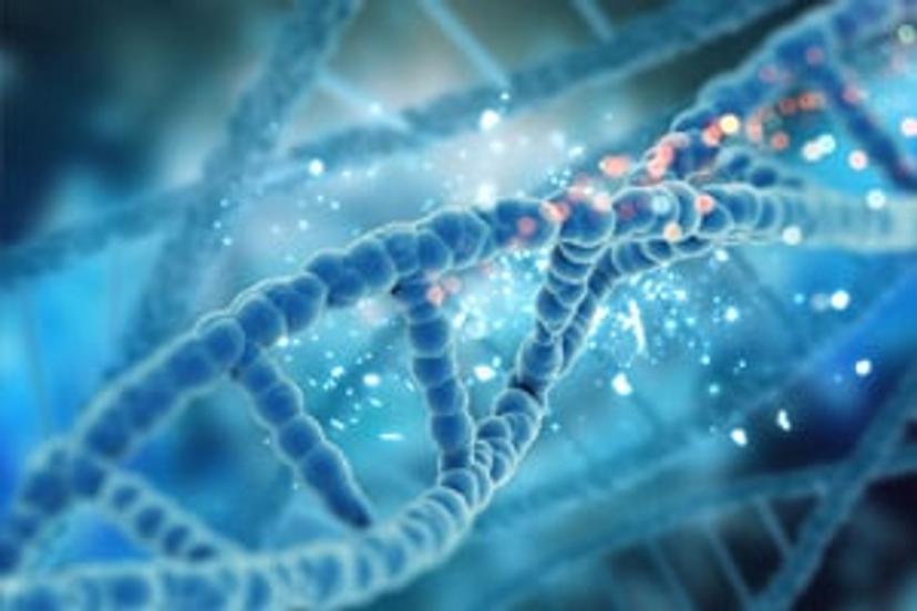 Highly specific and reproducible quantification and sizing of HEK293 residual host cell DNA with extraction-free protocol