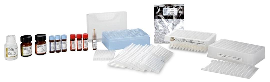 ProteinWorks eXpress™ Digest Kits - Waters - Life Sciences