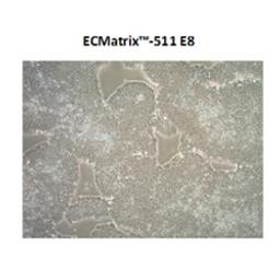 ECMatrix - Merck - Life Sciences
