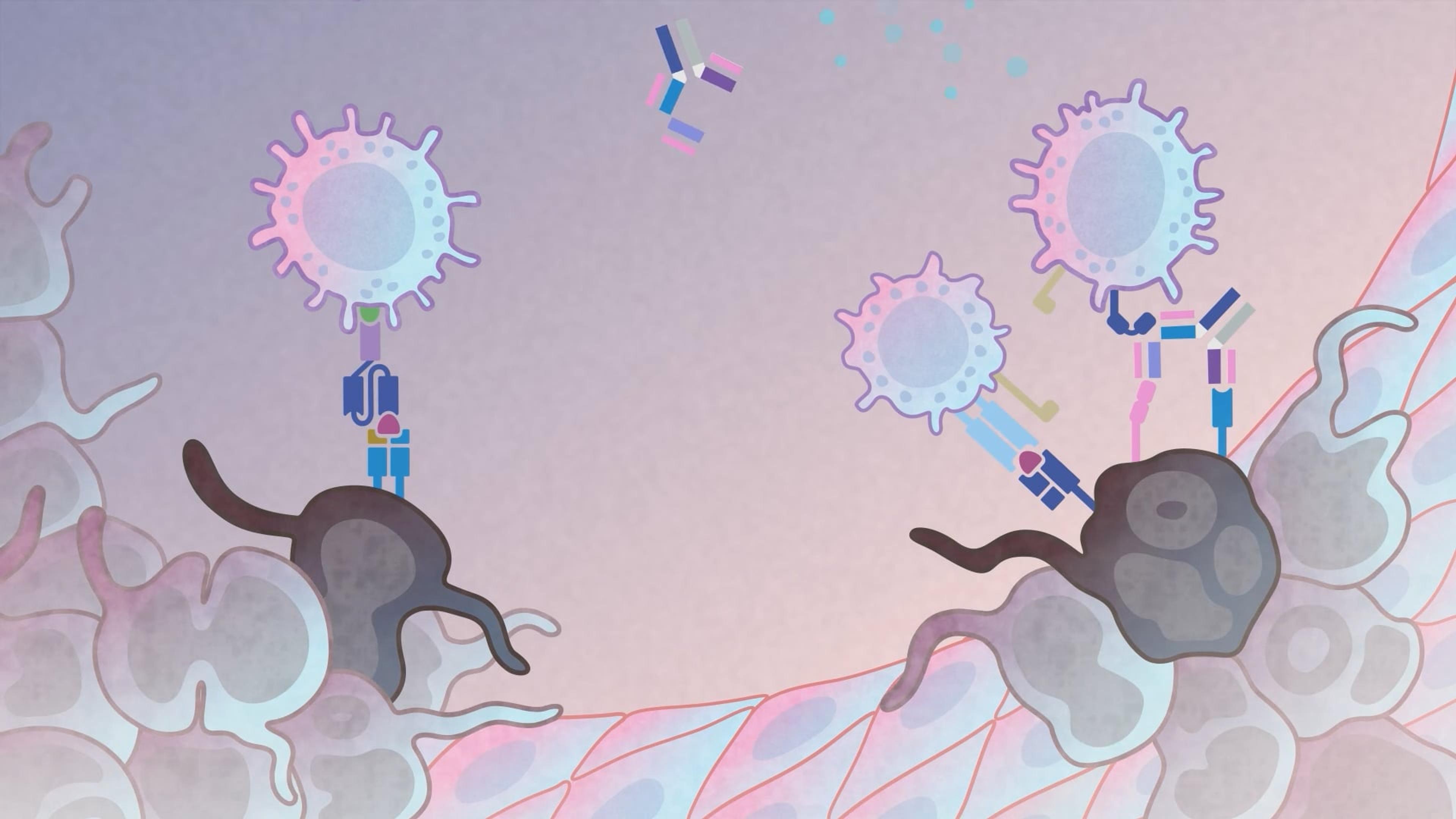 Advancing drug development with natural killer cells Advancing drug development with natural killer cells