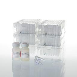 Maxwell® CSC DNA Blood Kit - Promega Corp. - Life Sciences
