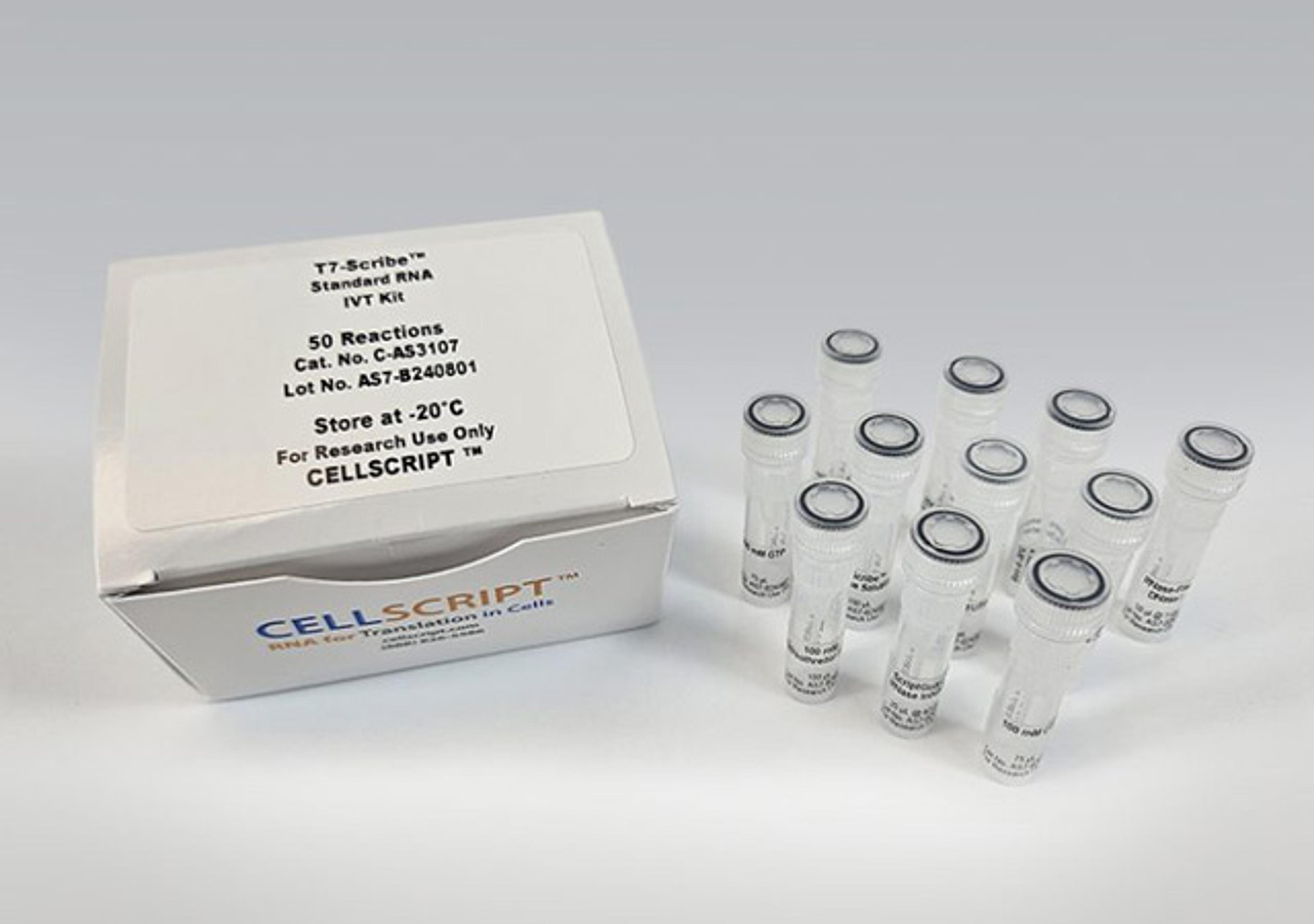 T7-Scribe™ Standard RNA IVT Kit - CELLSCRIPT™ - Life Sciences