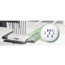 Lyme Disease Diagnostic Tests - Euroimmun - Clinical Diagnostics