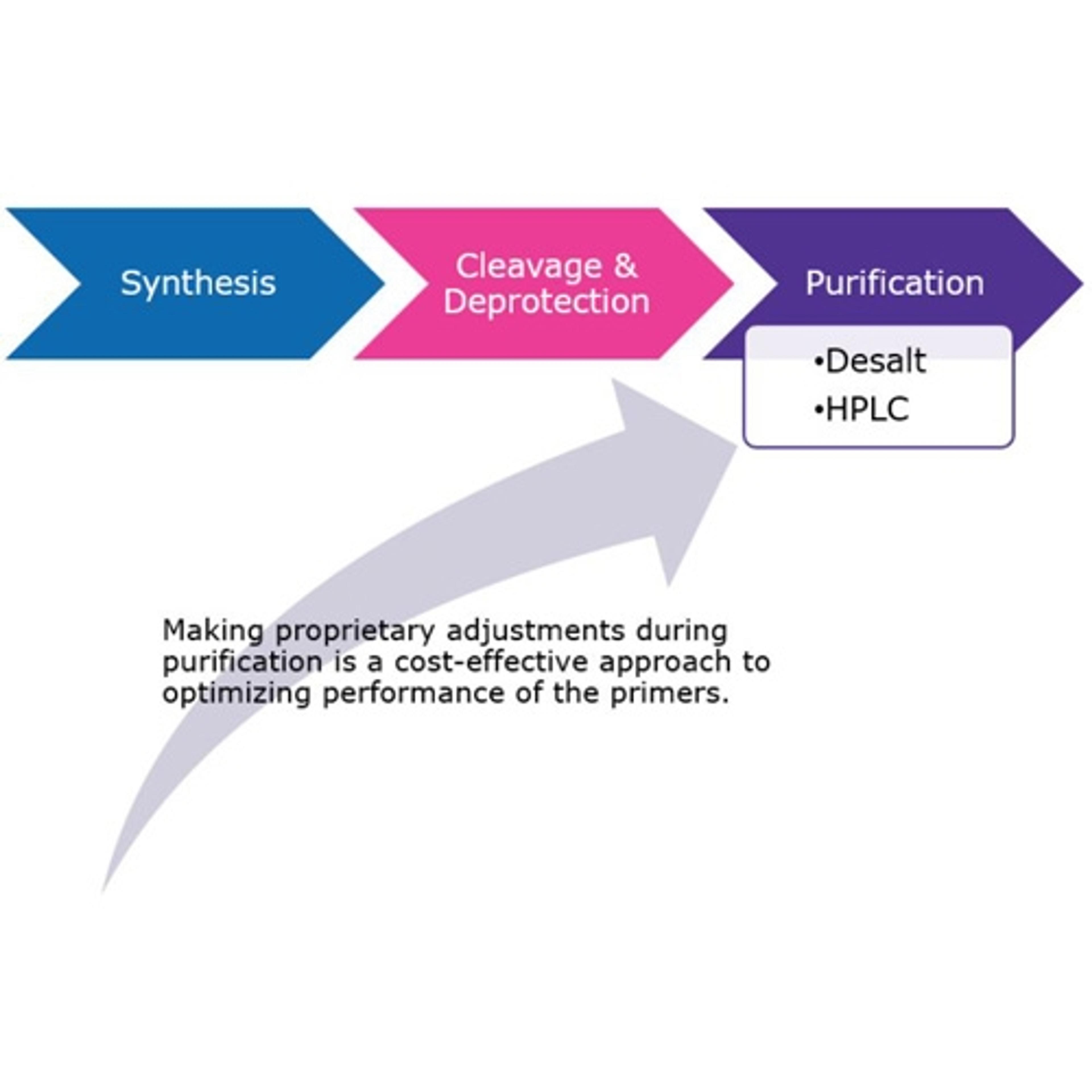 Custom LAMP Primers - Merck - Life Sciences