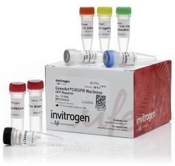 Invitrogen™ GeneArt™ CRISPR Nuclease Vector with OFP Reporter Kit - Thermo Fisher Scientific