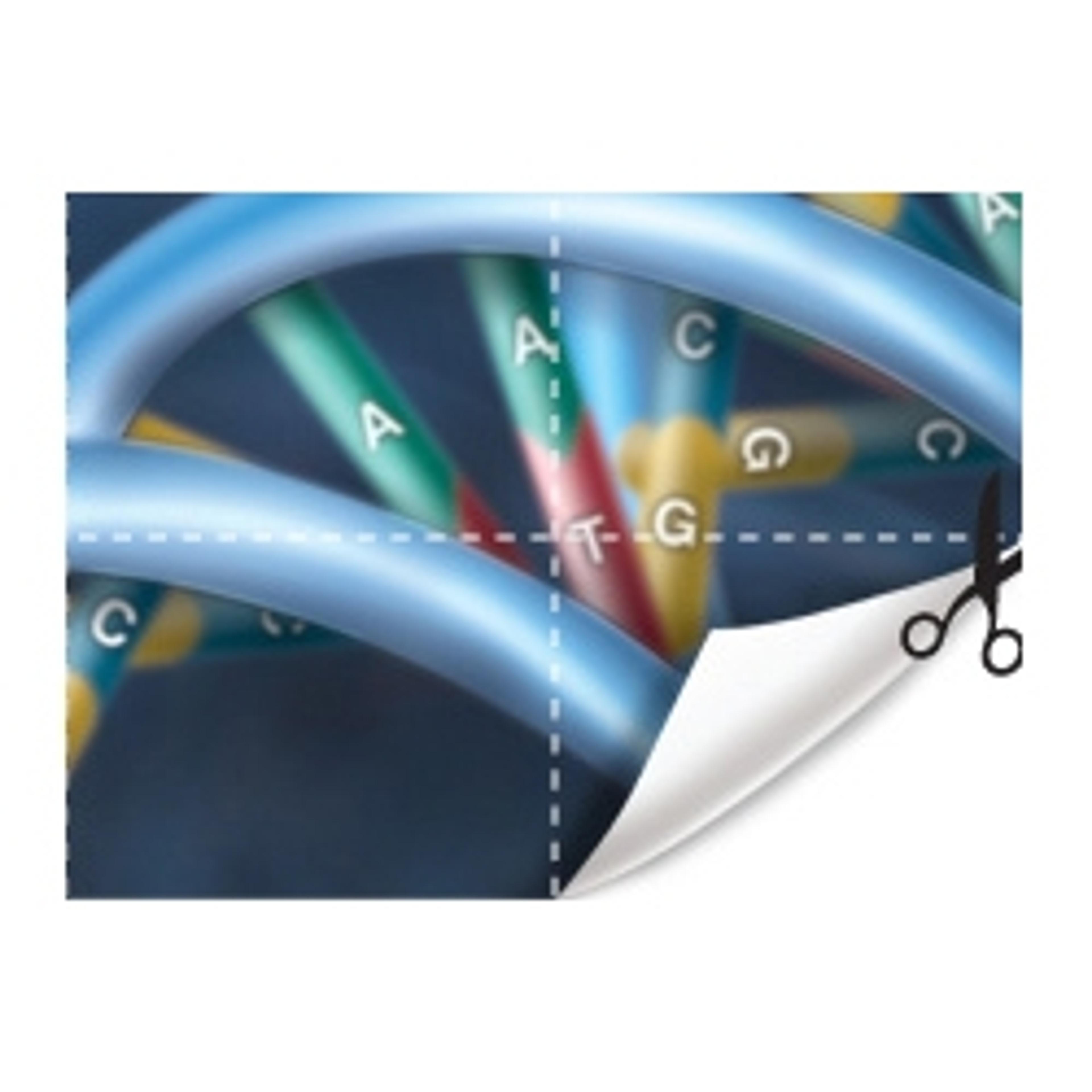 NEB RE-Mix® Restriction Enzyme Master Mixes - New England Biolabs Inc. - Life Sciences