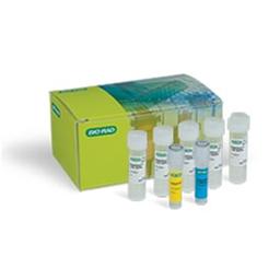 SingleShot™ Cell Lysis Kit, 500 x 50 µl rxns - Bio-Rad - Life Sciences