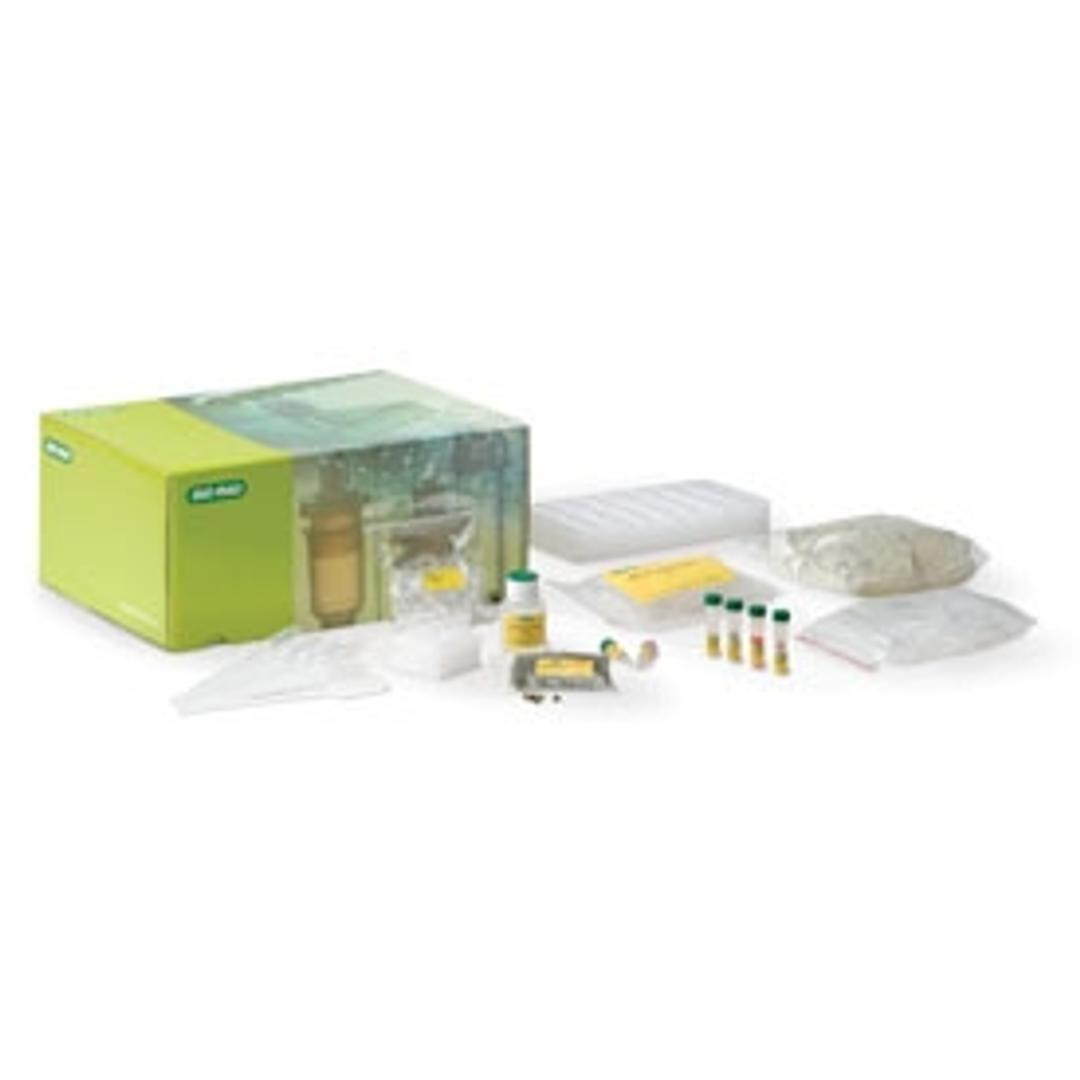 GMO Investigator Kit - Bio-Rad - Life Sciences