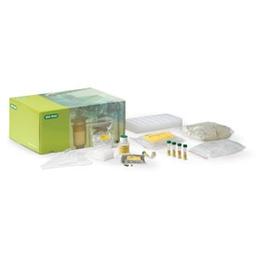 GMO Investigator Kit - Bio-Rad - Life Sciences
