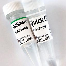 Quick Dephosphorylation Kit - New England Biolabs Inc. - Life Sciences