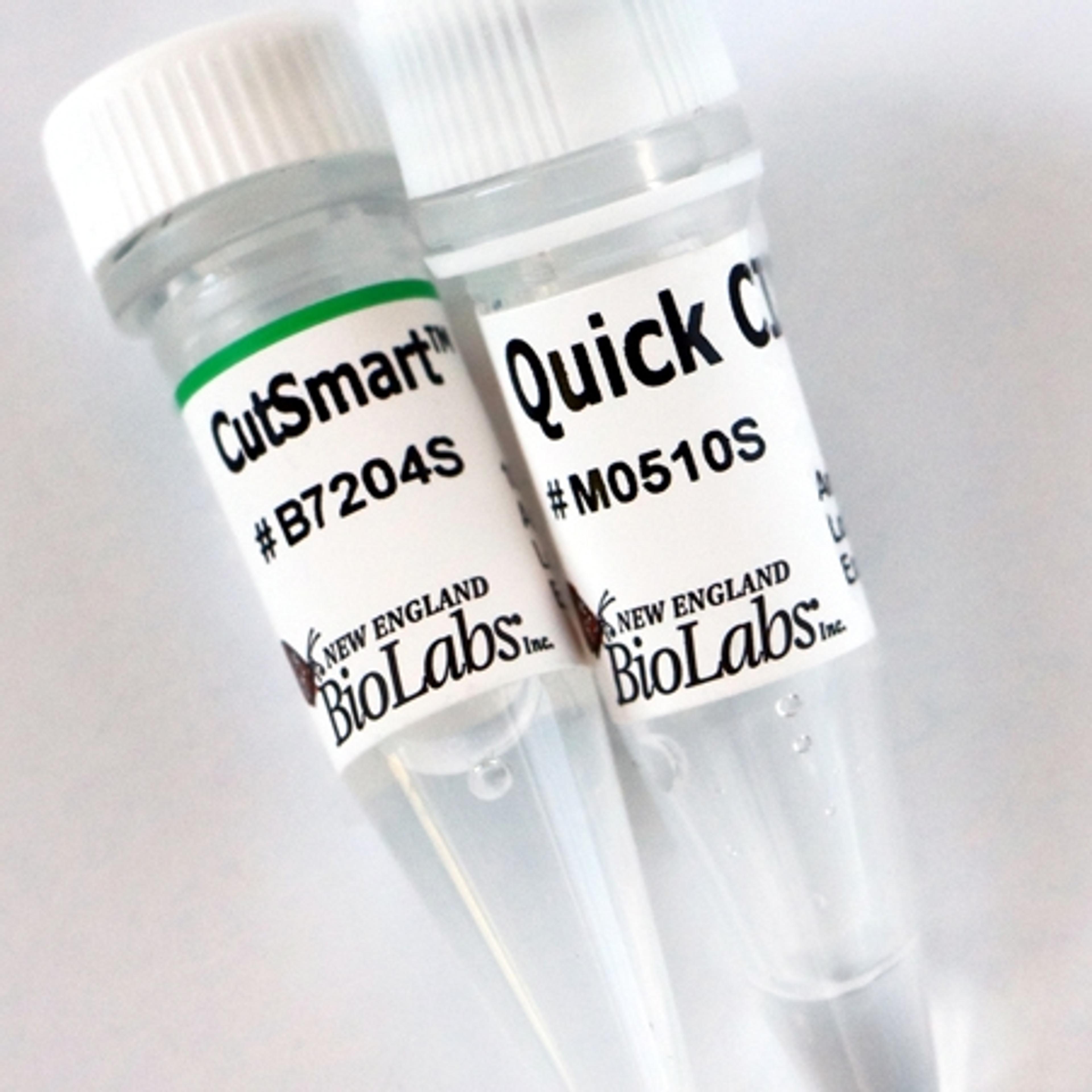 Quick Dephosphorylation Kit - New England Biolabs Inc. - Life Sciences