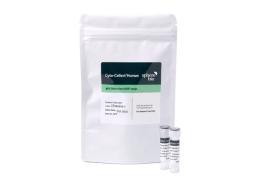 Cyto-Cellect® Probes (Cyto-Cellect® Human IgGκ Detection Kit) - Sphere Bio - Life Sciences