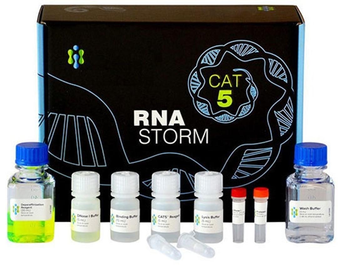 CELLDATA RNAstorm FFPE RNA Extraction Kit - Biotium - Life Sciences