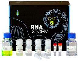 CELLDATA RNAstorm FFPE RNA Extraction Kit - Biotium - Life Sciences