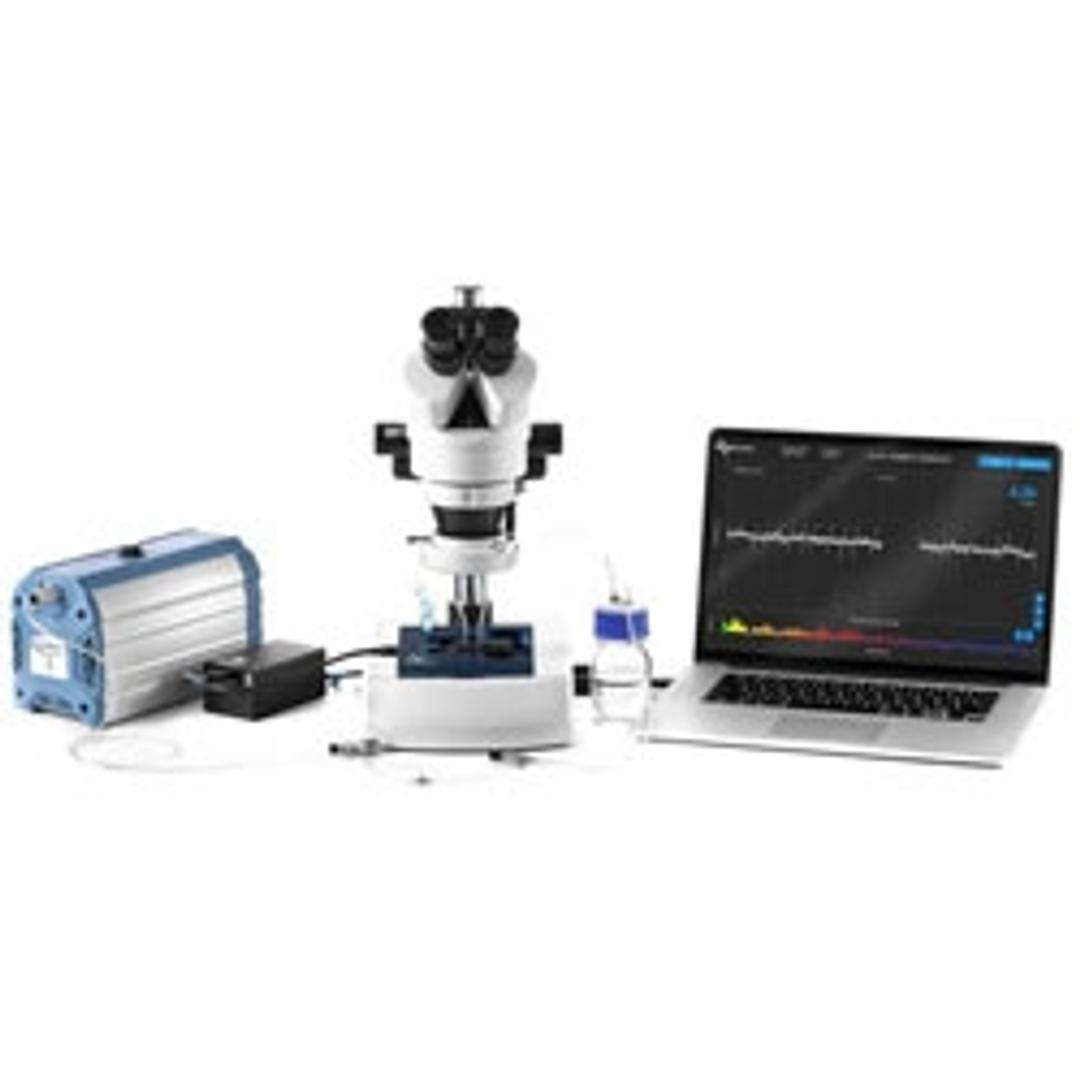 NemaViewer Phenotyping System - InVivo Biosystems