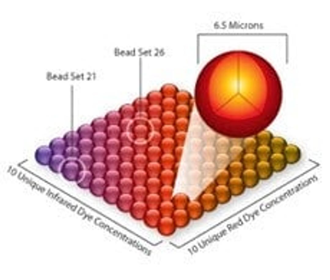 ProcartaPlex Custom Panels - Thermo Fisher Scientific - Life Sciences