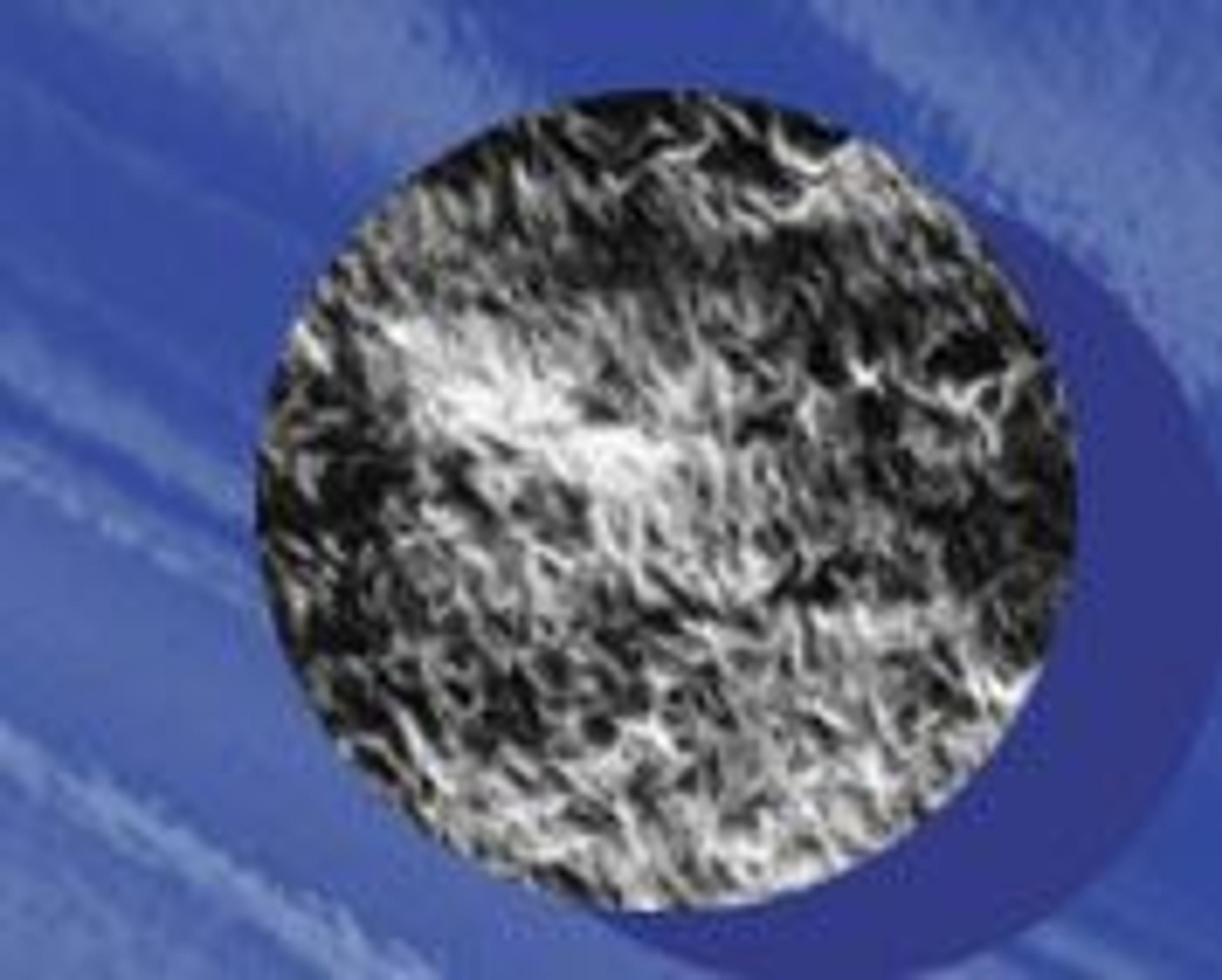 FluoroTrans® PVDF Transfer Membranes - Pall Life Sciences - Laboratory, Food, Beverage - Life Sciences