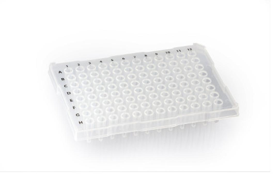 Multiply® 96 Well PCR Plate, ABI Style, half skirt - SARSTEDT AG - Life Sciences