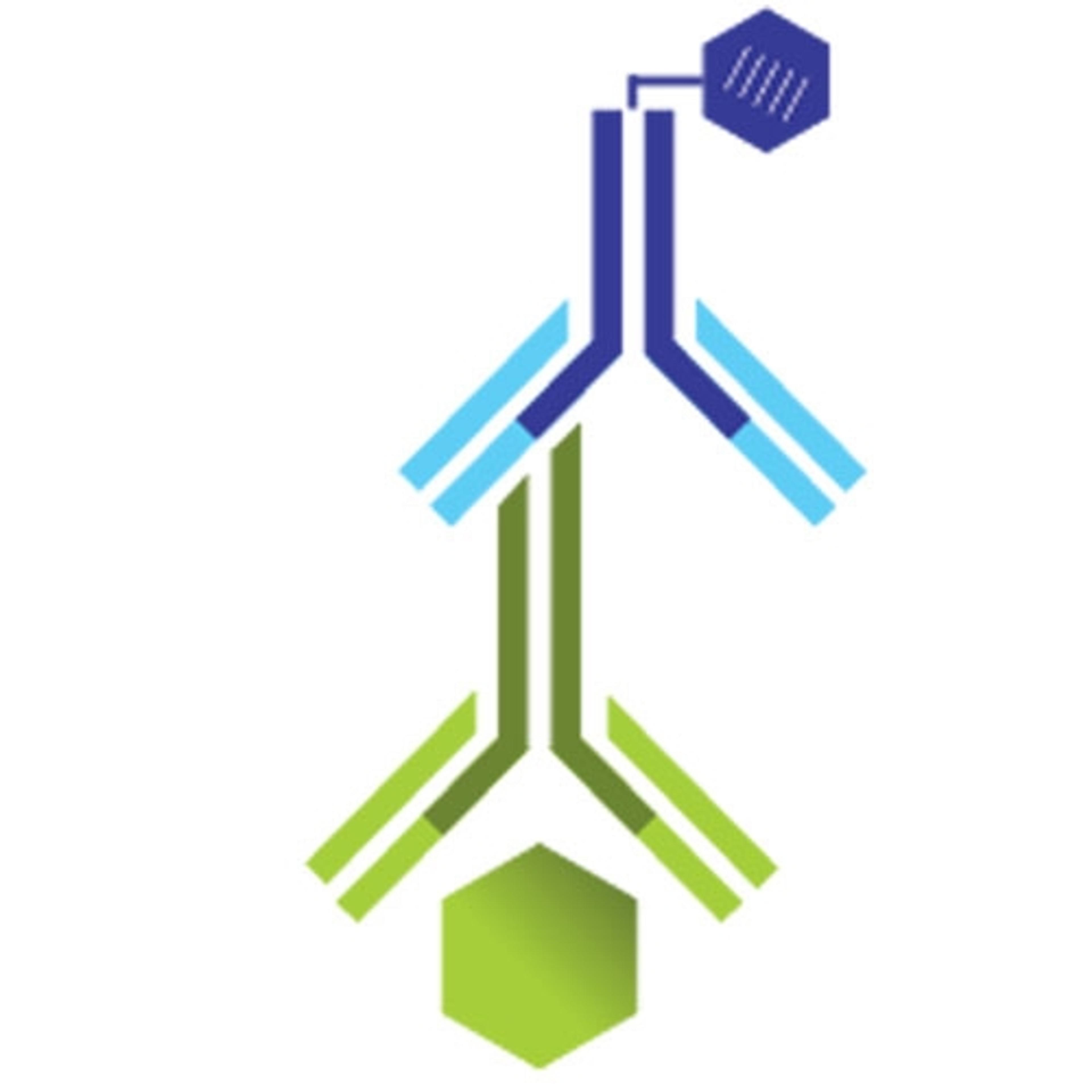 Monkeypox Virus H3L Protein Human IgG ELISA Kit - RayBiotech Inc. - Life Sciences