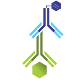 Monkeypox Virus H3L Protein Human IgG ELISA Kit - RayBiotech Inc. - Life Sciences
