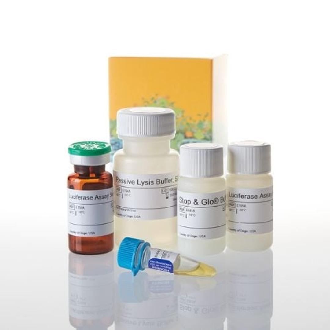 Dual-Luciferase ® Reporter Assay System - Promega Corp. - Life Sciences